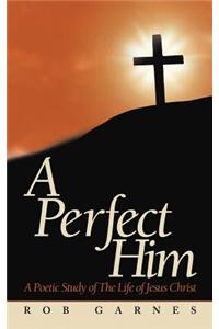 Perfect Him