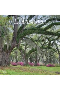 Louisiana Wild & Scenic 2019 Square