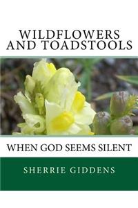 Wildflowers and Toadstools: When God Seems Silent