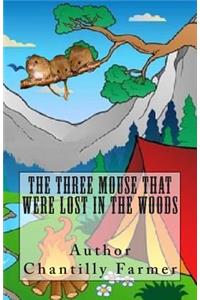 The Three Mouse That Were Lost In The Woods