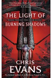 The Light of Burning Shadows