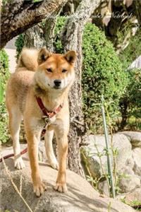 Akita Inu September Notebook Akita Inu Record, Log, Diary, Special Memories, to Do List, Academic Notepad, Scrapbook & More