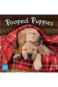 2021 Pooped Puppies 16-Month Wall Calendar