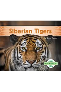 Siberian Tigers