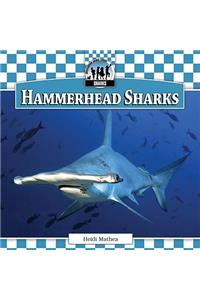 Hammerhead Sharks