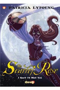 Scarlet Rose #1