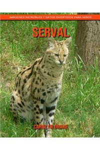 Serval