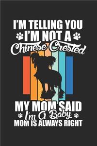 I'm telling you i'm not a Chinese Crested my mom said i'm a baby mom is always