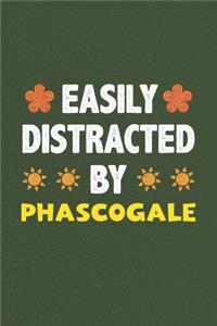 Easily Distracted By Phascogale