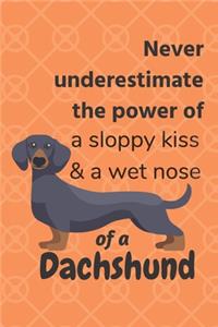 Never underestimate the power of a sloppy kiss & a wet nose of a Dachshund
