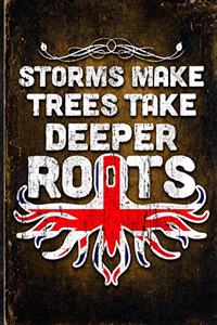 Storms Make Trees Take Deeper Roots