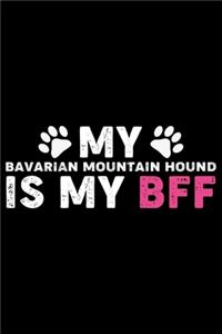 My Bavarian Mountain Hound Is My BFF