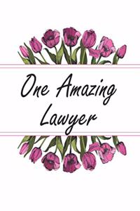 One Amazing Lawyer