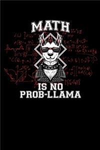 Math Is No Prob-Llama