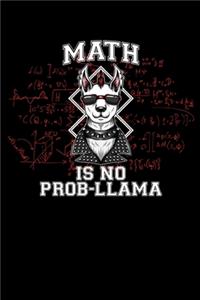 Math Is No Prob-Llama