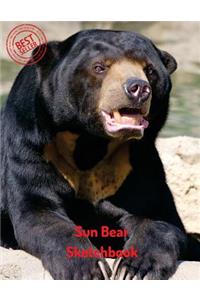 Sun Bear Sketchbook