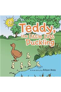Teddy, the Little Lost Duckling