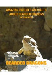 Bearded Dragons: Amazing Pictures and Facts about Bearded Dragons