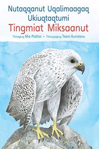 Children's Guide to Arctic Birds (Inuktitut)