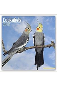 Cockatiels Calendar 2018