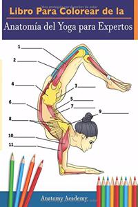 Libro Para Colorear de la Anatomía del Yoga para Expertos