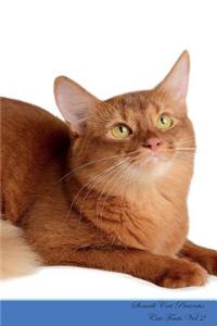 Somali Cat Presents