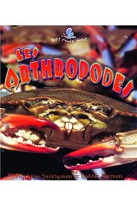 Les Arthropodes