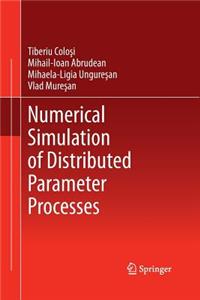 Numerical Simulation of Distributed Parameter Processes
