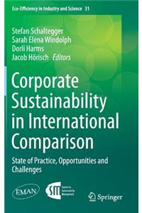 Corporate Sustainability in International Comparison