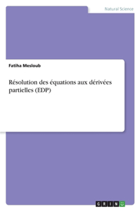 Résolution des équations aux dérivées partielles (EDP)