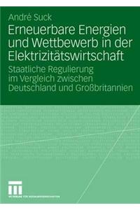 Erneuerbare Energien Und Wettbewerb in Der Elektrizitätswirtschaft
