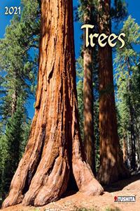 TREES 2021