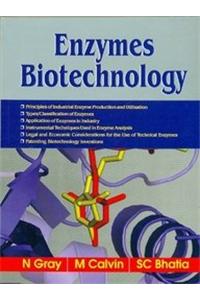 Enzymes Biotechnology