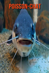 Poisson-Chat