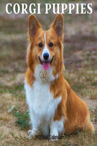 Corgi Puppy 2021 Wall Calendar