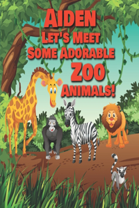 Aiden Let's Meet Some Adorable Zoo Animals!