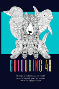 Colouring 48