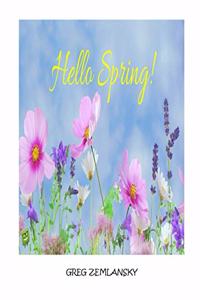 Hello Spring