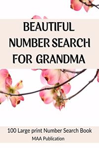 Beautiful Number Search For Grandma