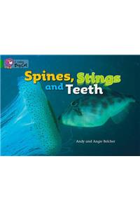 Spines, Stings and Teeth Workbook