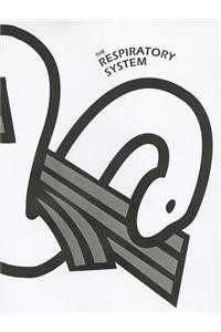 The Respiratory System