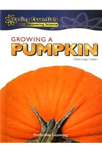 Growing a Pumpkin