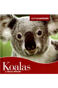 Koalas