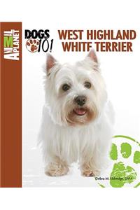 West Highland White Terrier