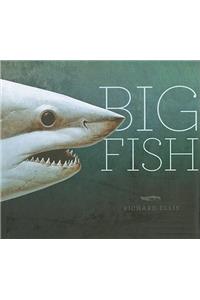 Big Fish