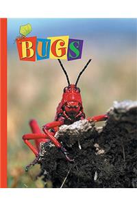 Bugs