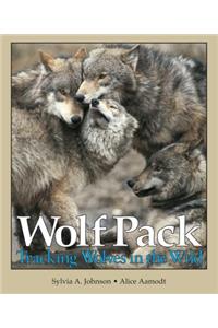 Wolf Pack Tracking Wolves
