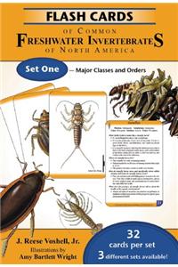 Flash Cards of Common Freshwater Invertebrates of North America