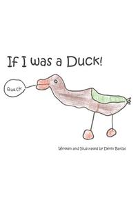 If I was a Duck