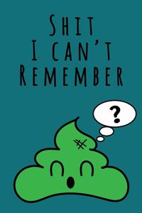 Shit I Can't Remember